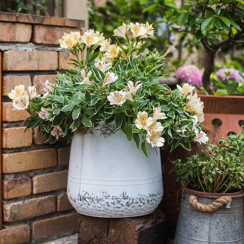 Vase extérieur décoratif en étain style vintage MON JOLI VASE — free download