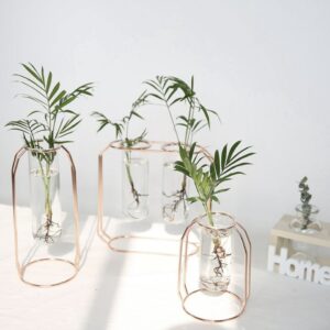 Vase sur pied en forme de tube en verre avec support métallique doré contenant des petites plantes
