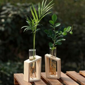 Deux petits vases en forme de tube à essai en verre transparent. Ils sont soutenus par un support en bois de forme carré. Ils contiennent un rameau de plante verte et sont disposés sur une table en bois.