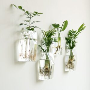 Vase suspendu transparent de forme géométrique. Ces vases sont suspendus sur un mur blanc. Il contiennnent des branches de plantes vertes. On voit évoluer leurs racines à travers la paroi du vase.