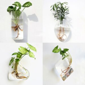 Vase suspendu transparent miniature de forme géométrique. Ce petit vase est exposé selon quatre formes différentes. Ils comportent chacun une petite plante verte dans la racine est visible en transparence.