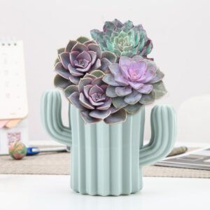Vase bleu en forme de cactus, réalisé en plastique. Ce petit vase incassable apportera une touche originale et audacieuse à votre décoration d'intérieur. Il attirera tous les regards sur vos fleurs préférées.