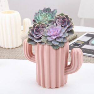 Vase rose en forme de cactus, réalisé en plastique. Ce petit vase incassable apportera une touche originale et audacieuse à votre décoration d'intérieur. Il attirera tous les regards sur vos fleurs préférées.